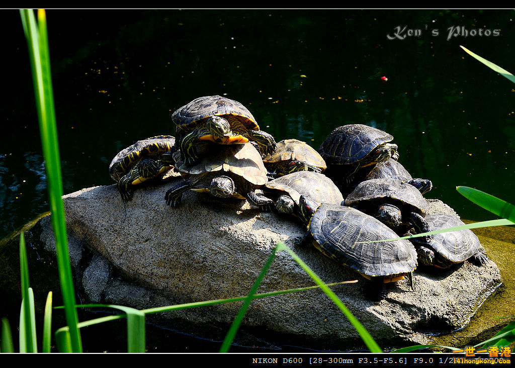 DSC_8362.jpg
