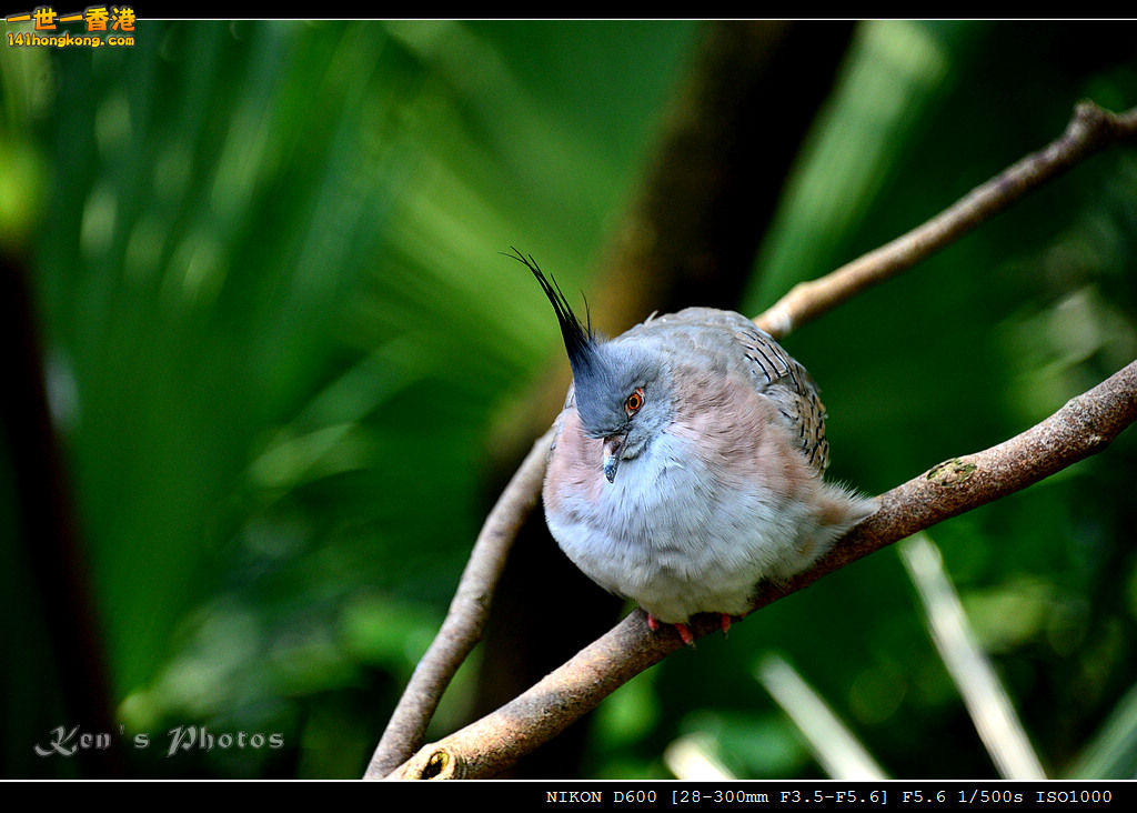 DSC_8241.jpg