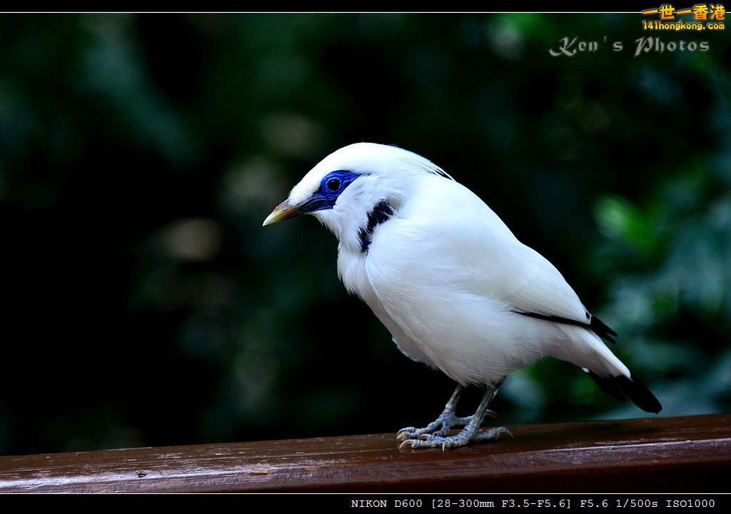 DSC_8243.jpg