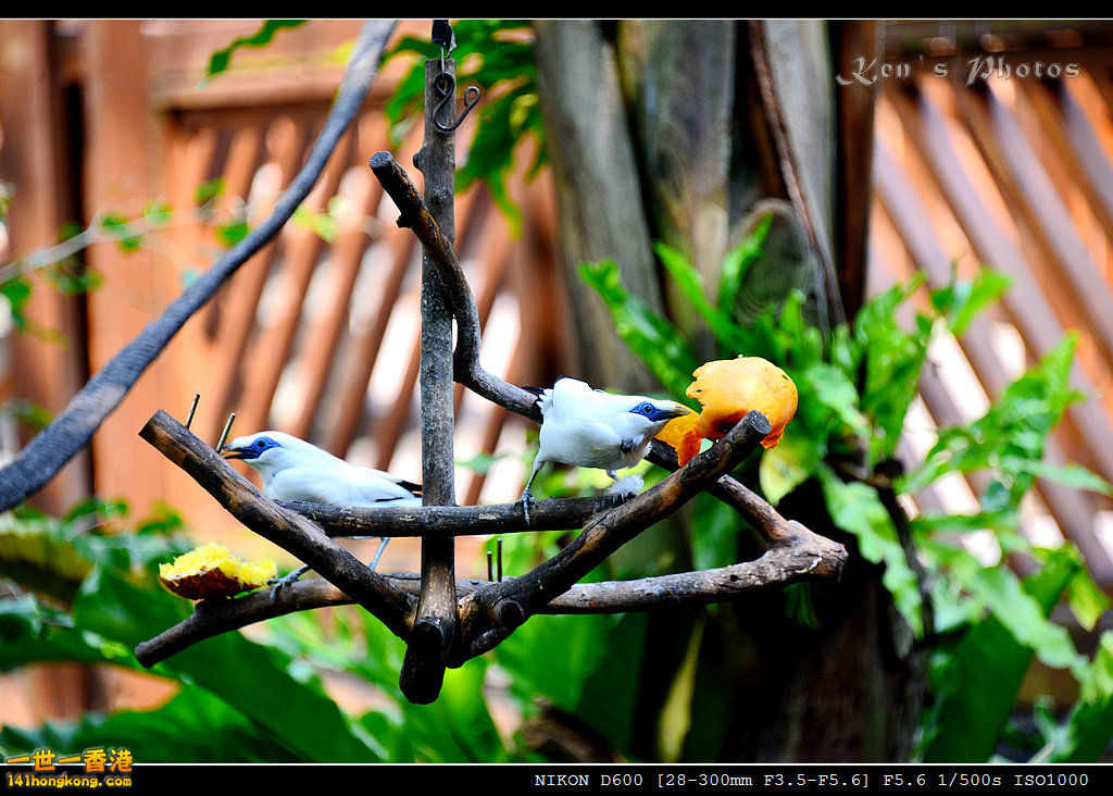 DSC_8244.jpg