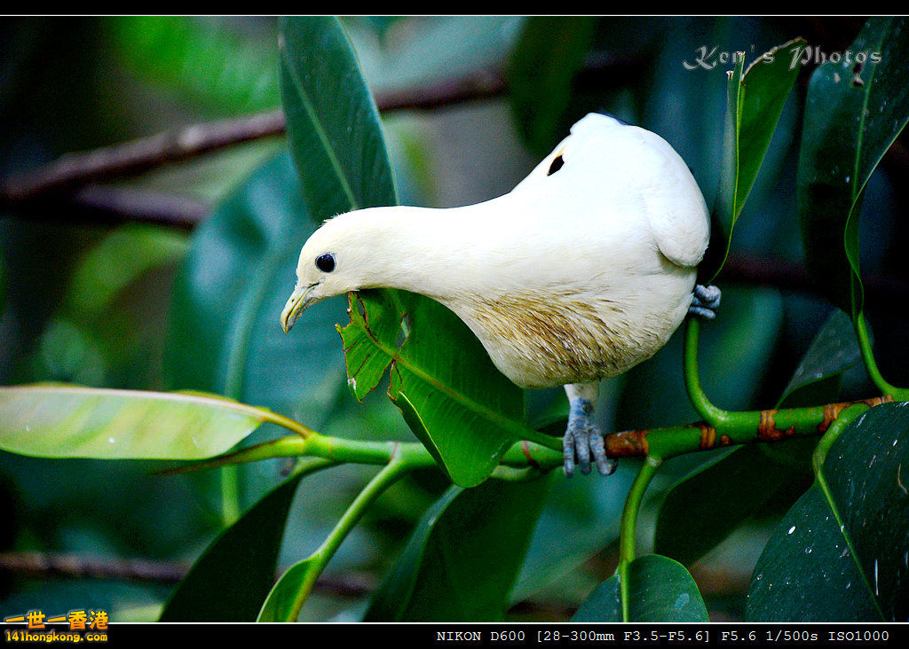 DSC_8247.jpg
