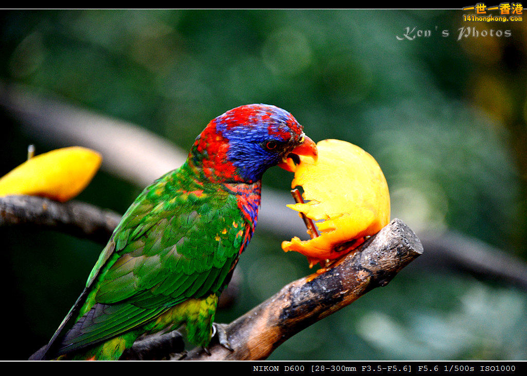 DSC_8256.jpg