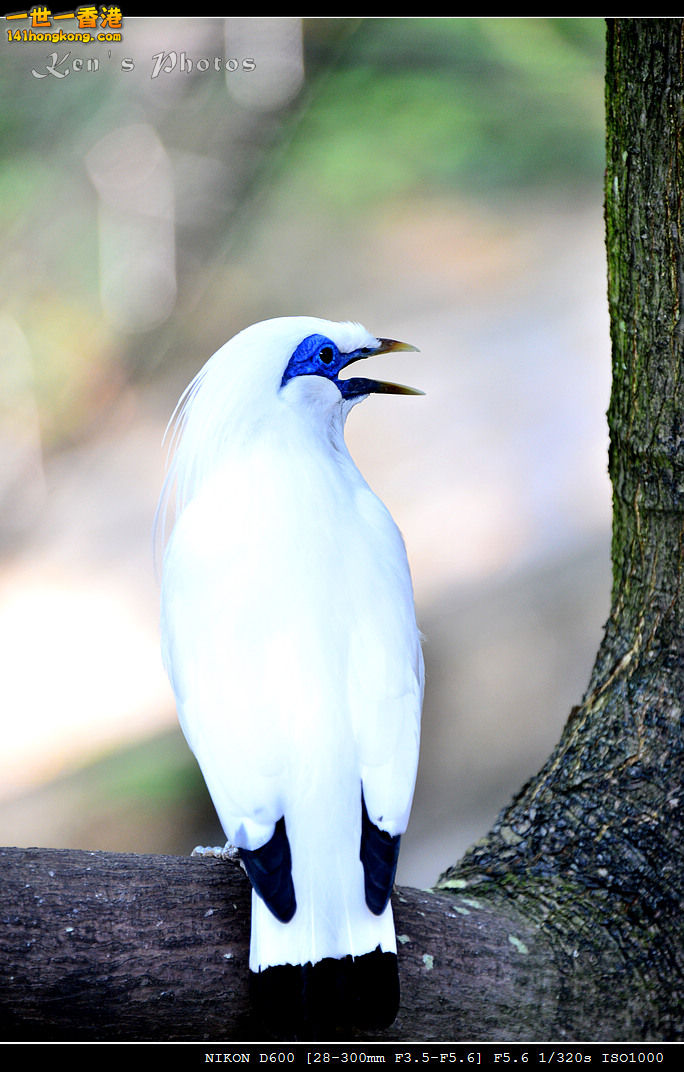 DSC_8269.jpg