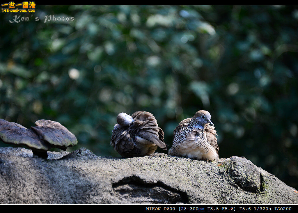 DSC_8280.jpg