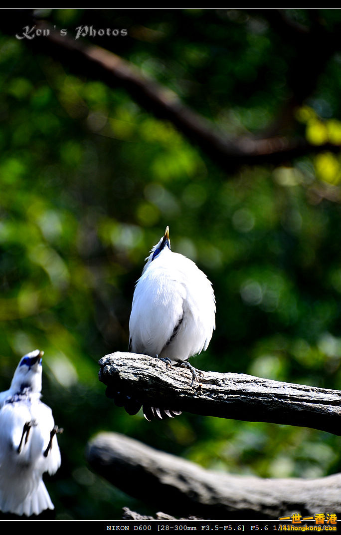 DSC_8283.jpg