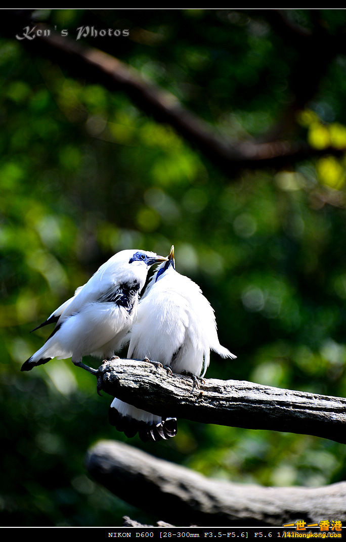DSC_8284.jpg