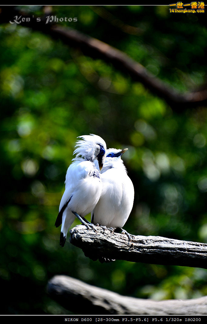 DSC_8287.jpg