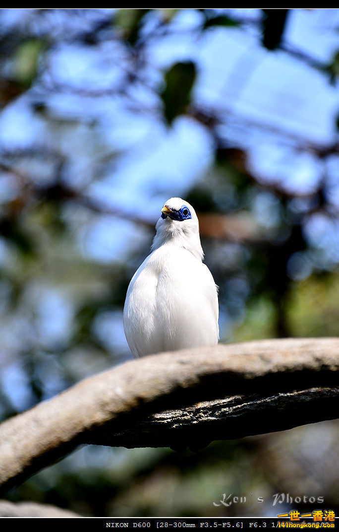 DSC_8289.jpg