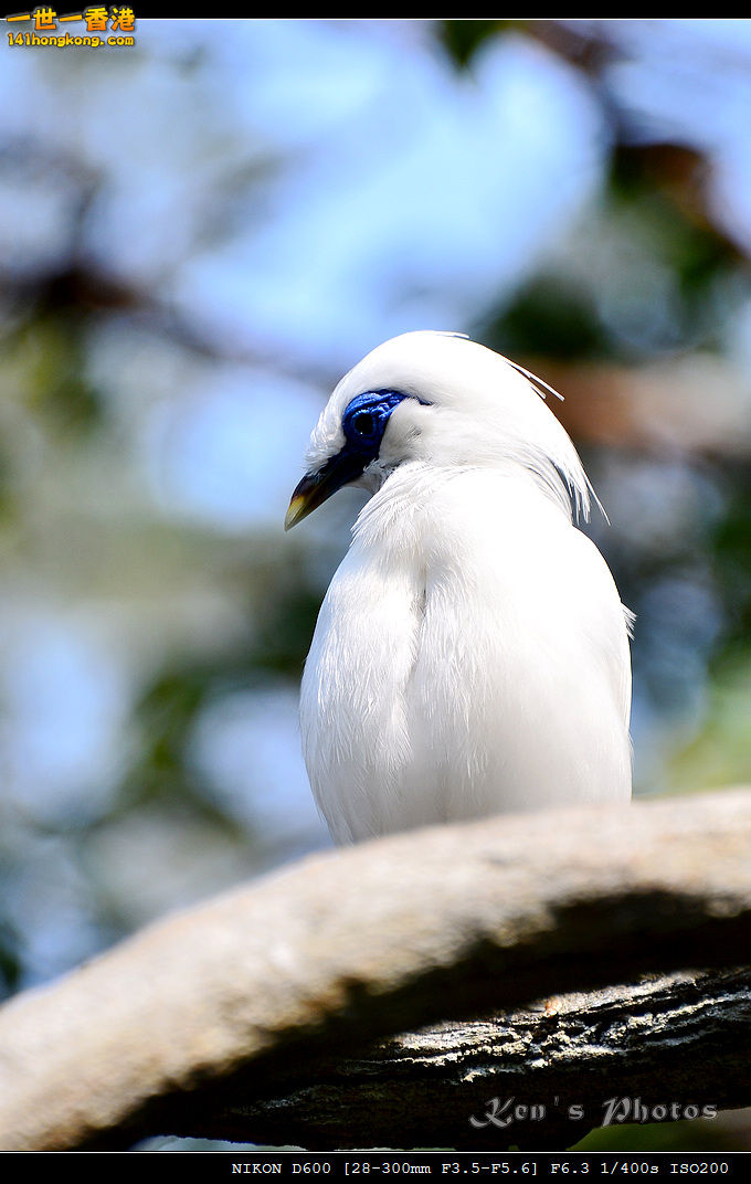 DSC_8290.jpg