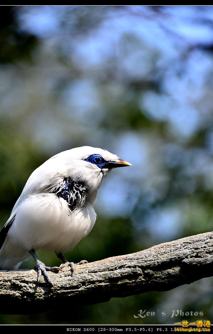DSC_8291.jpg