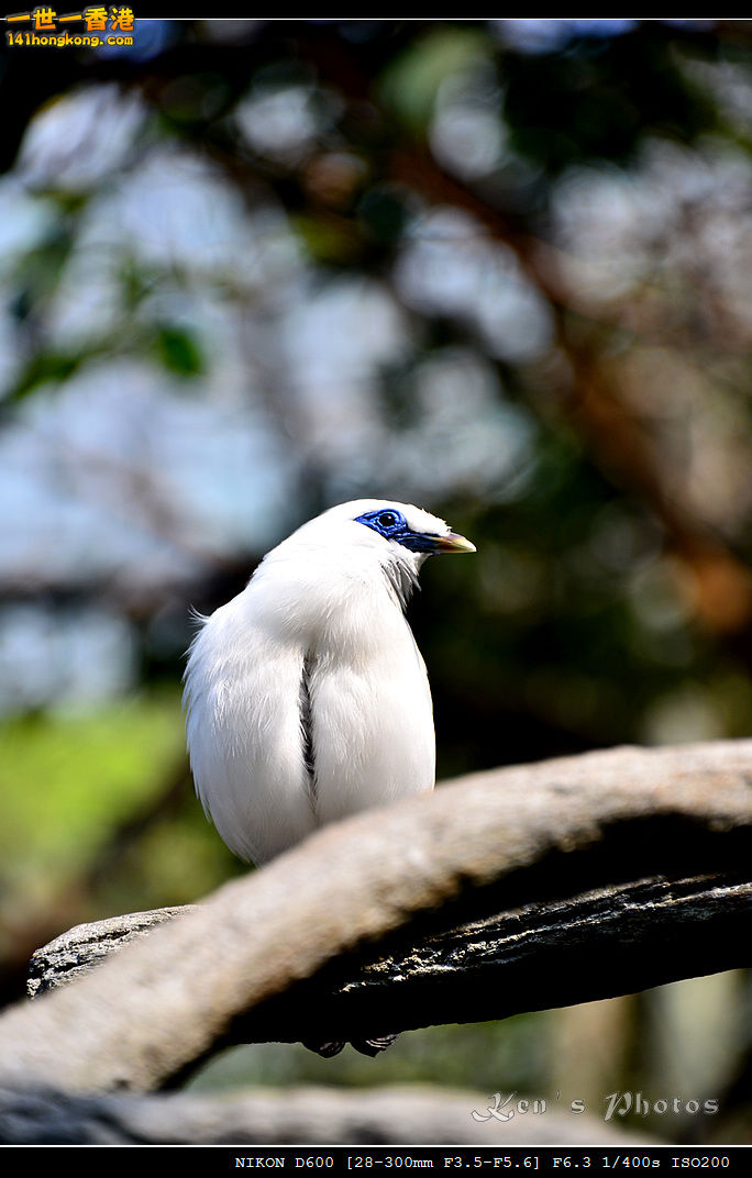 DSC_8292.jpg