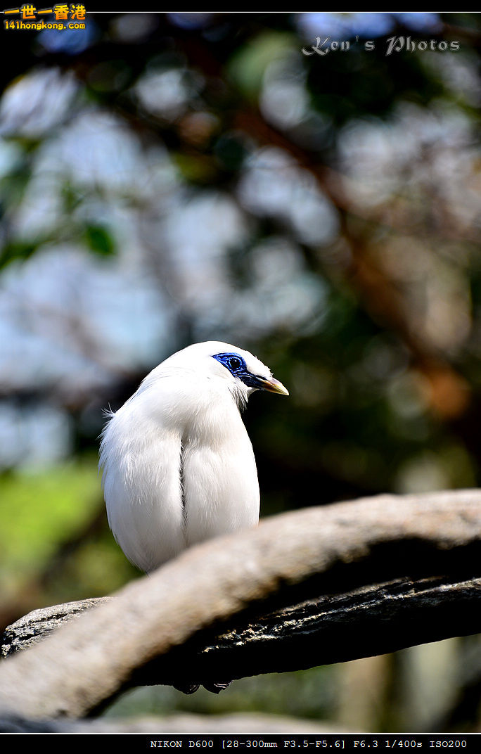 DSC_8293.jpg