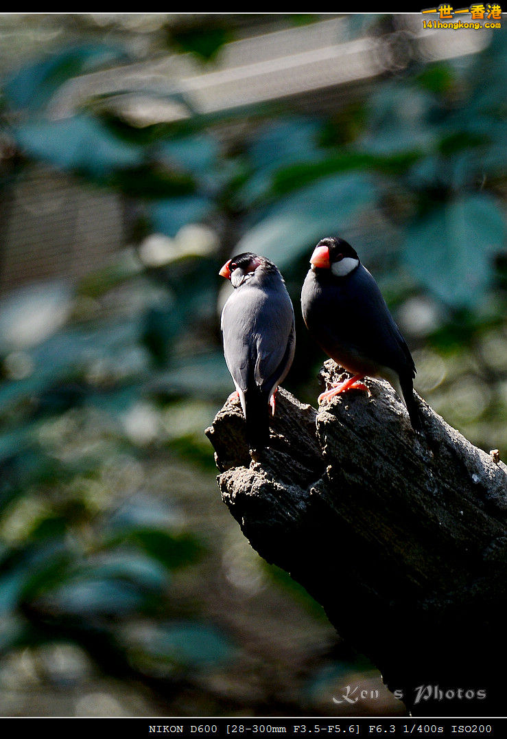 DSC_8306.jpg