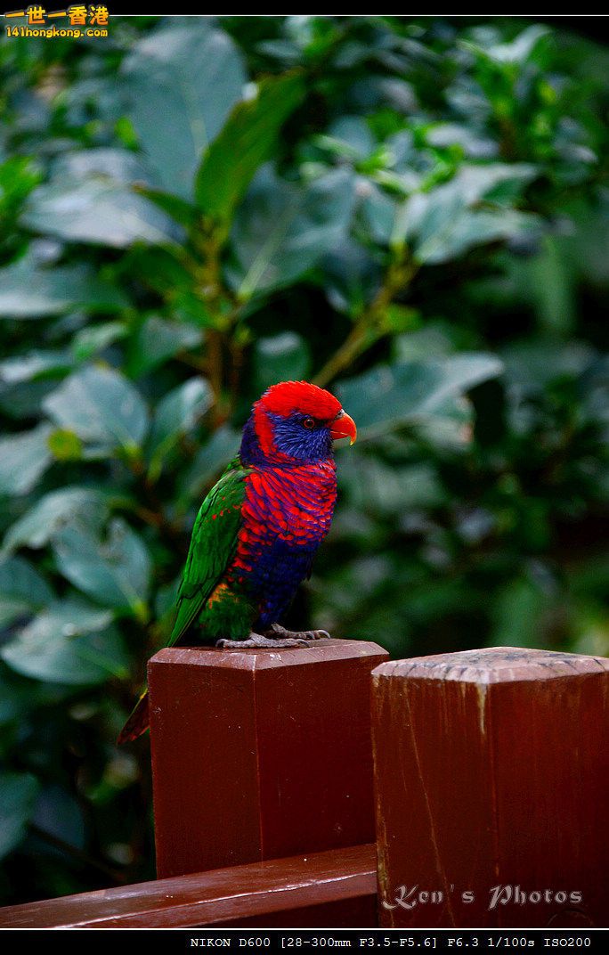 DSC_8314.jpg