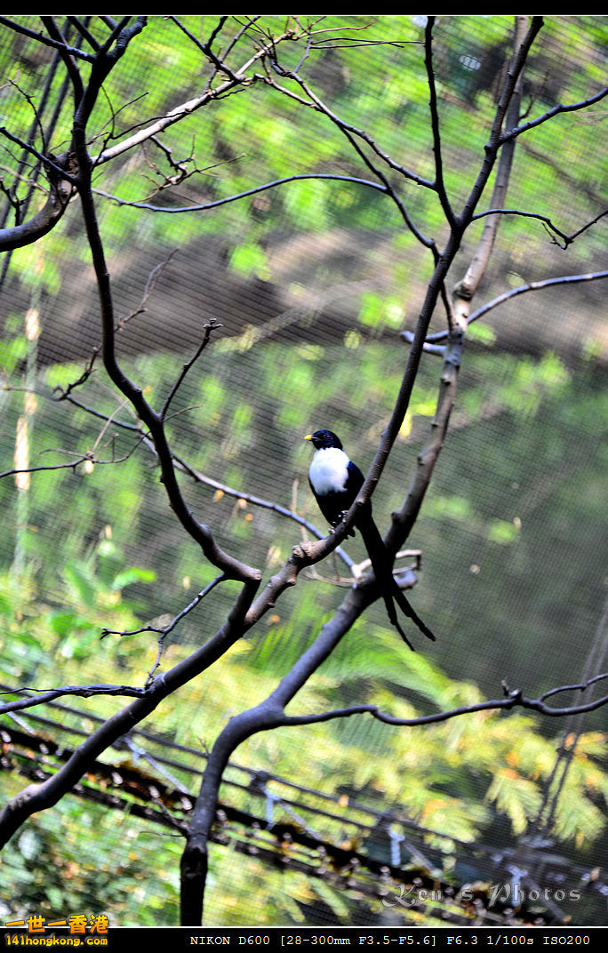 DSC_8316.jpg