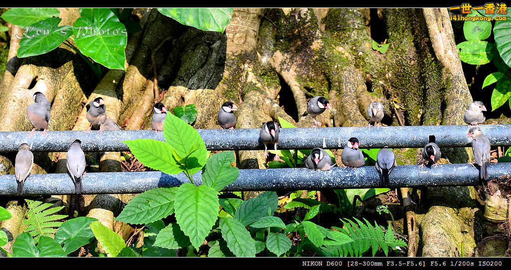 DSC_8325.jpg