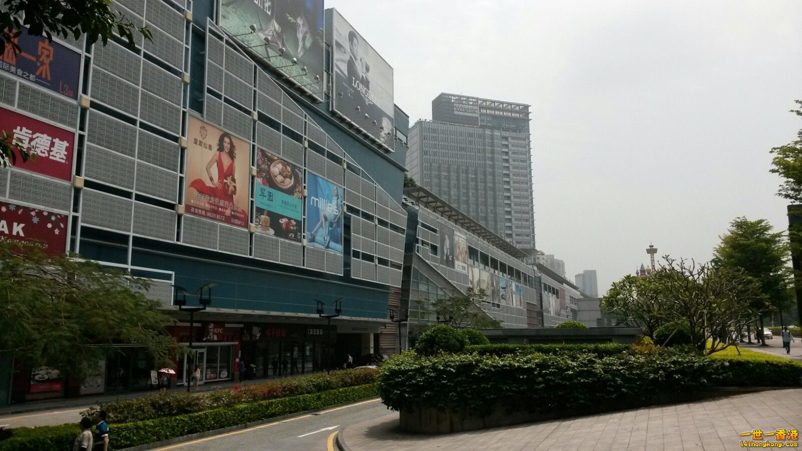 d.jpg