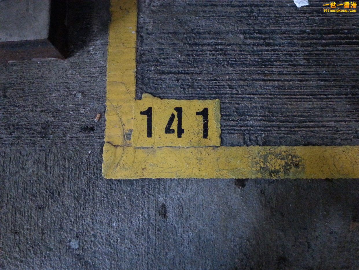 20140406_172952a.jpg