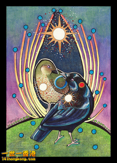 Satin_Bowerbird___1 pair.jpg