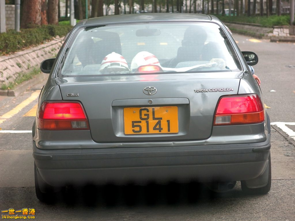 GL5141.JPG