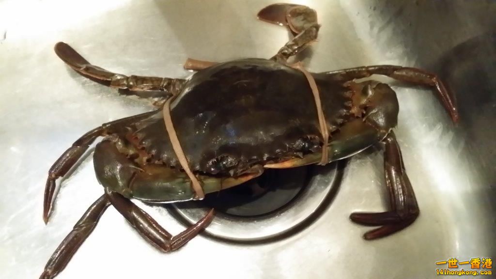 2014-04-06 18.01.21.jpg