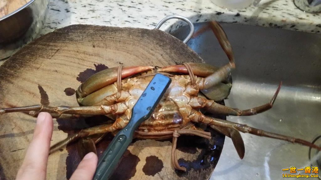 2014-04-06 18.04.17.jpg