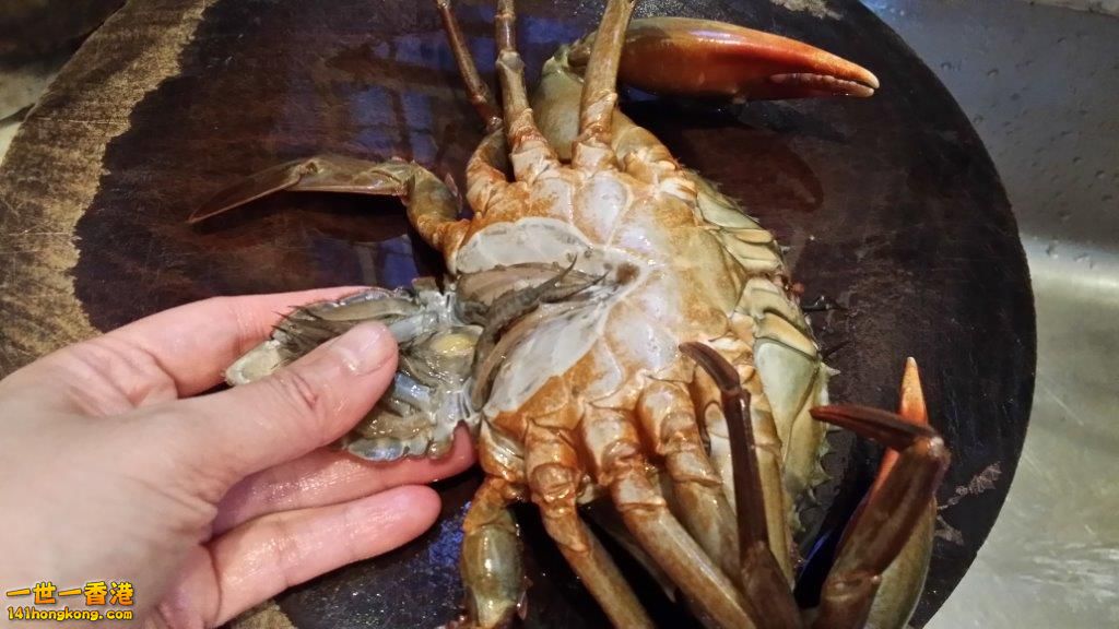 2014-04-06 18.08.52.jpg