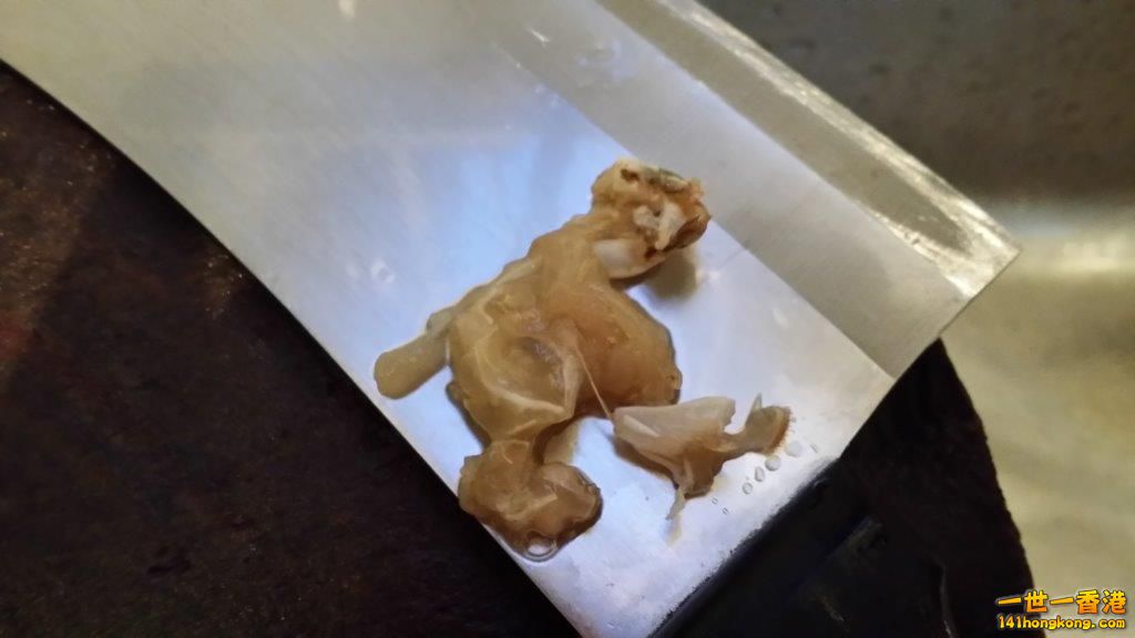 2014-04-06 18.19.26.jpg