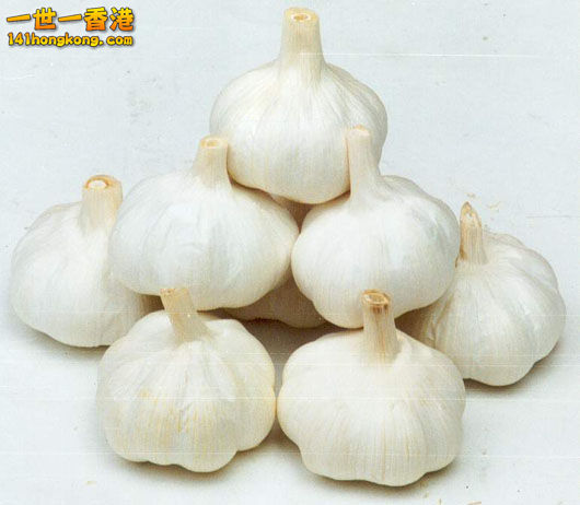 garlic_head.jpg