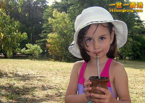 瑪黛茶05.jpg