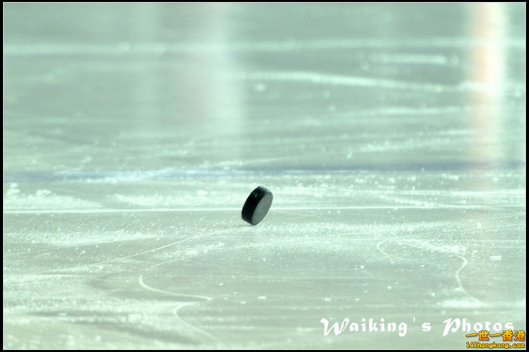 DSC_7403.jpg