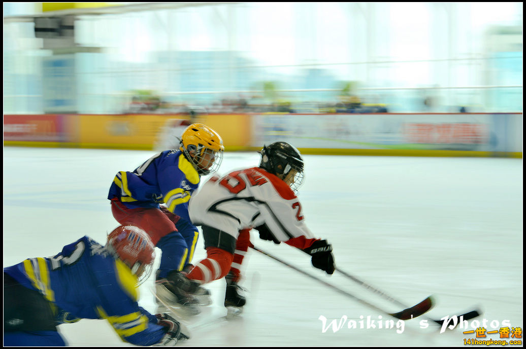 DSC_7579.jpg