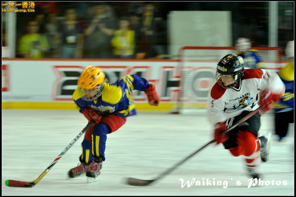 DSC_7648.jpg