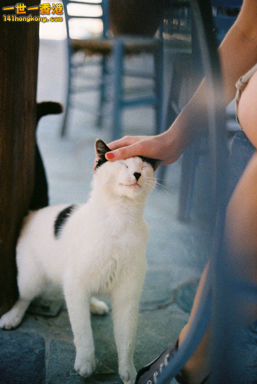 0 (7).jpg