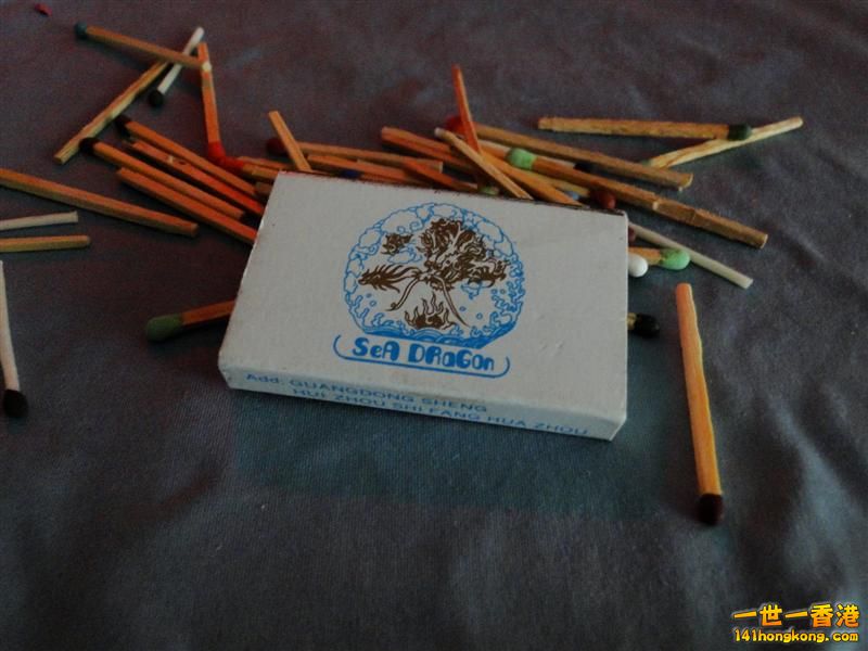 DSC04908 (Medium).JPG