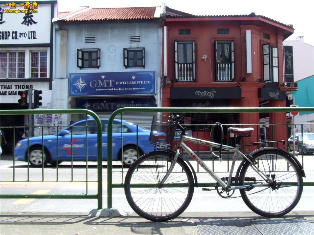 LITTER INDIA 13 (Large).JPG