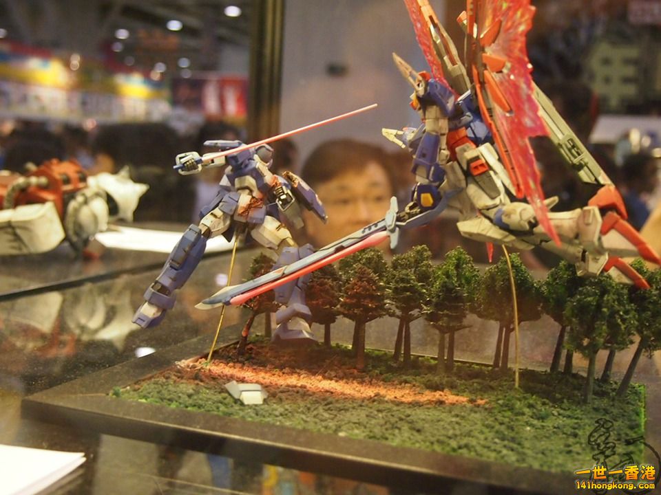 P1011981.jpg