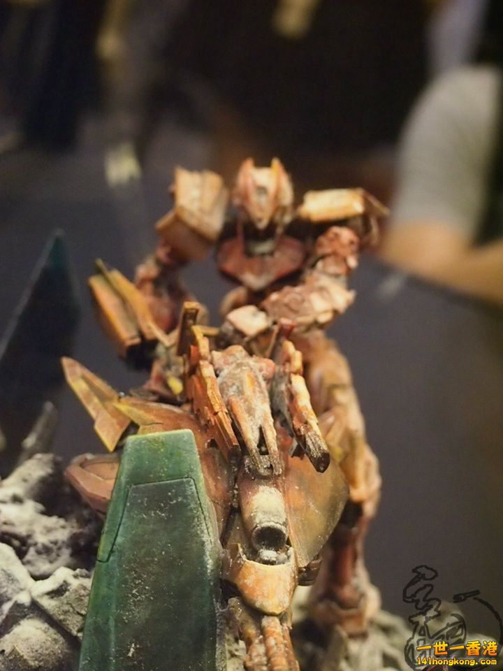 P1012135.jpg