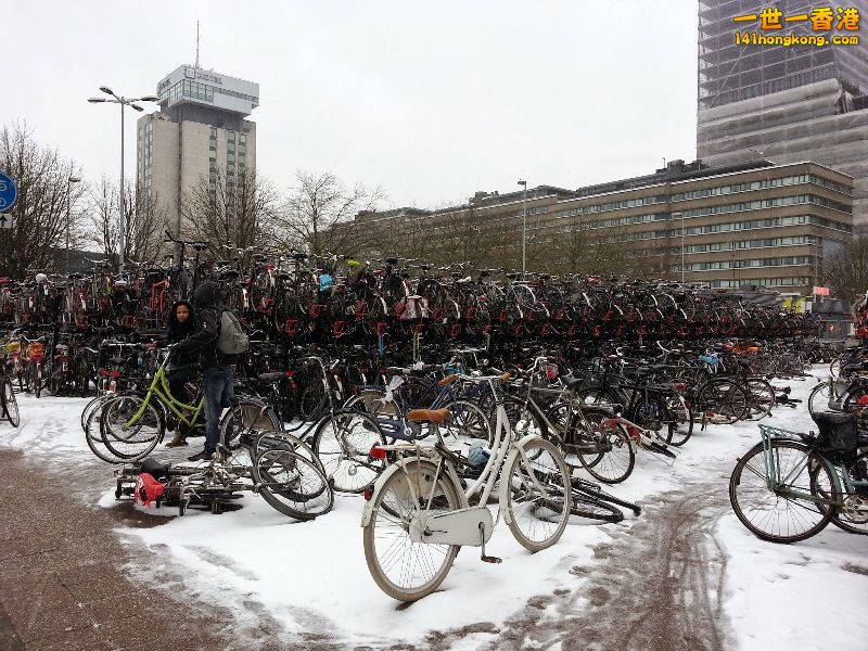 #16 阿姆斯特丹的紅黃綠_03_單車停車場.jpg