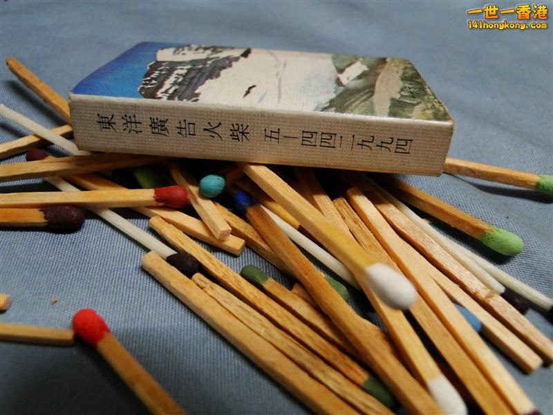 DSC05014 (Medium).JPG