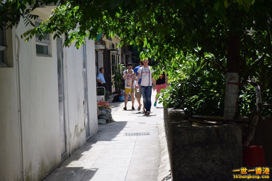 DSC_0002.JPG