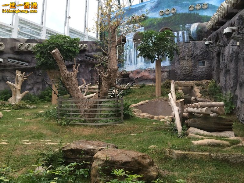 IMG_1305.JPG
