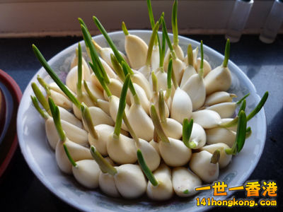 20140610105423909.jpg