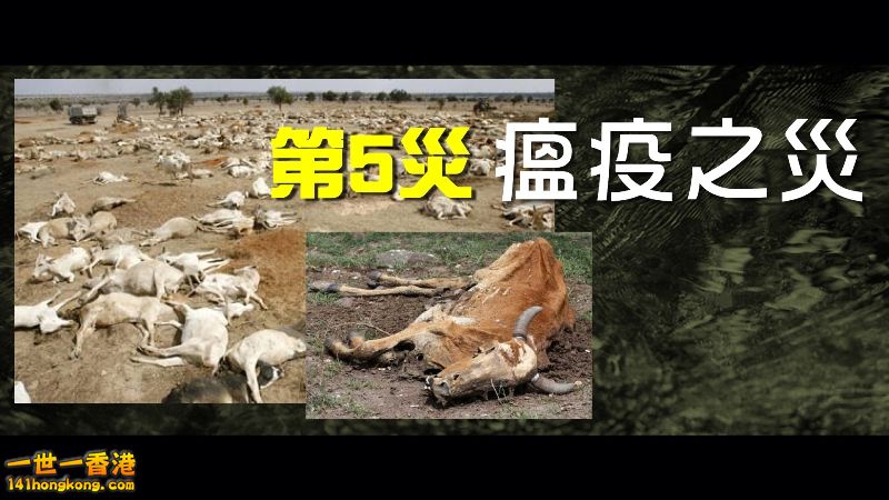 1_c21_瘟疫之災.jpg