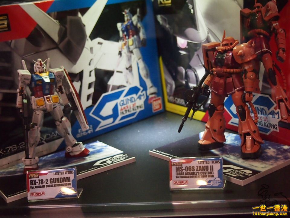 P1011867.jpg