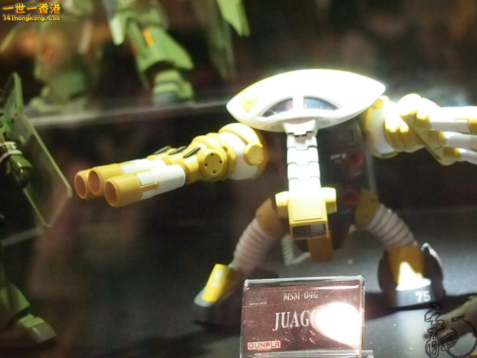 P1011911.jpg