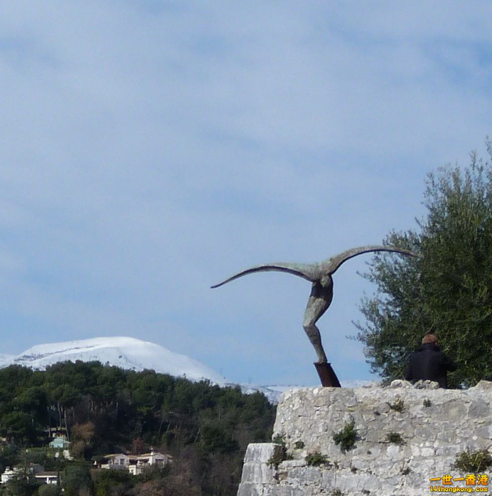 P1010824.jpg