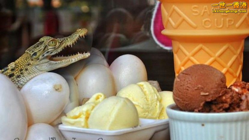 adaymag-would-you-eat-crocodile-egg-ice-cream-02-830x467.jpg