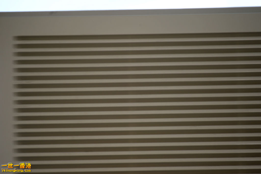 DSC_9717.jpg