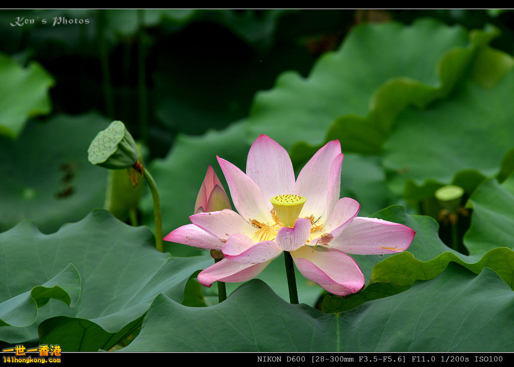 DSC_9562.jpg